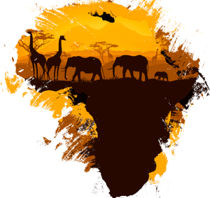 Exclusive IPTV Service in Morocco