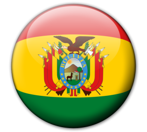 Flag of Bolivia12